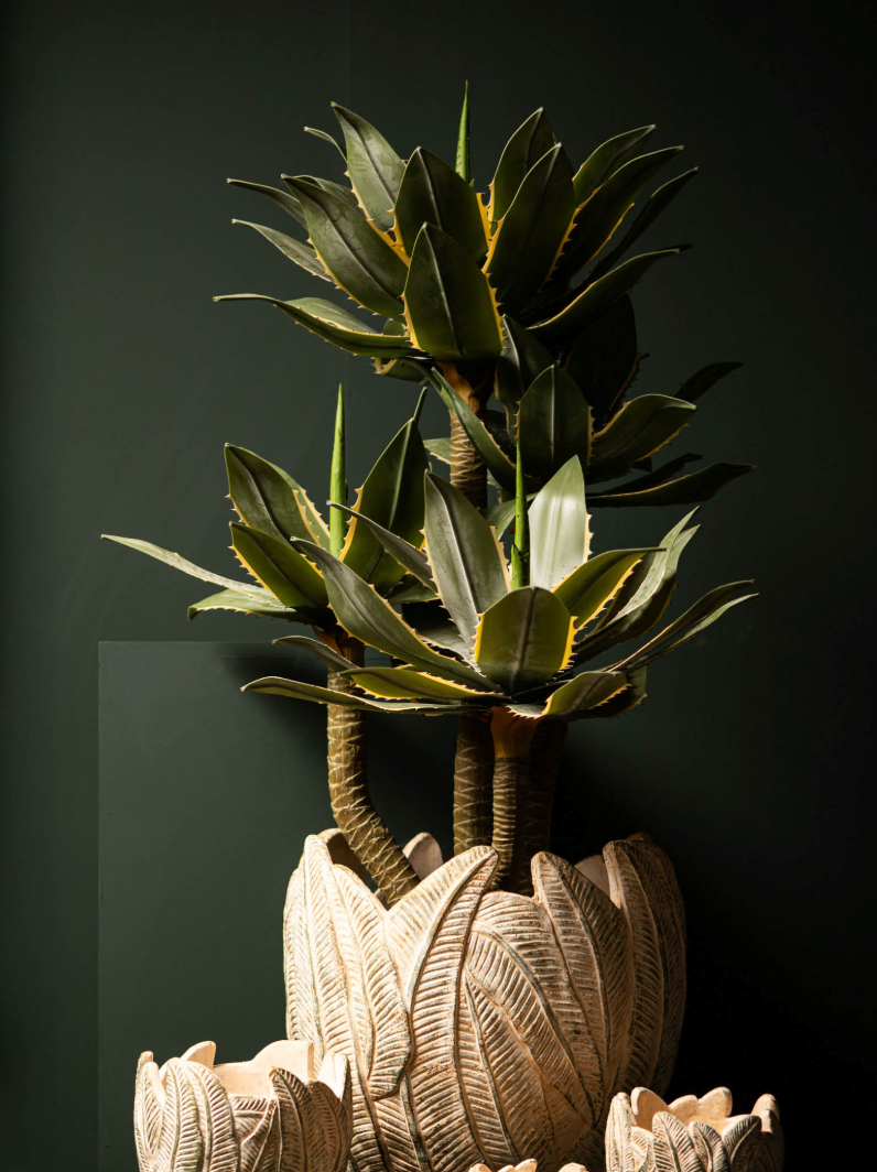 Een krachtige, natuurlijke opstelling van een hoge agaveplant in een handgemaakte keramieken pot met uitgesneden bladdetail tegen een diepgroene wand, symbool staand voor de verbinding tussen levendigheid en hoogwaardig interieurdesign.