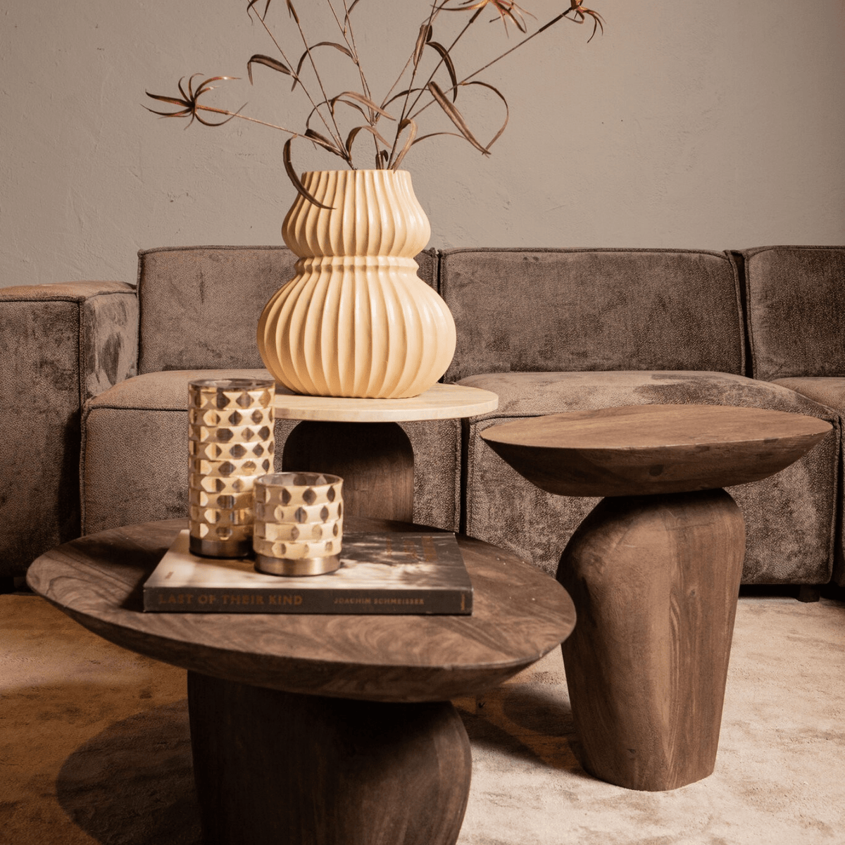 PTMD | Harshad Bijzettafel | Donkerbruin Mangohout Organisch - PTMD - Woonboutique