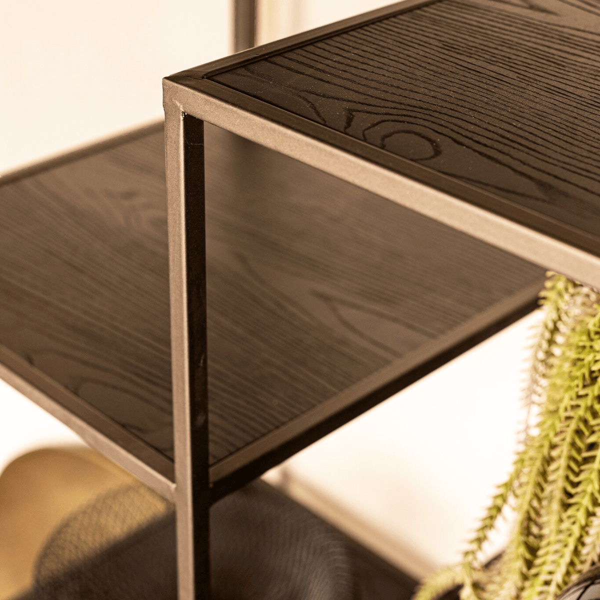 PTMD Lixly Vakkenkast | Zwart Hout & IJzer - PTMD - Woonboutique
